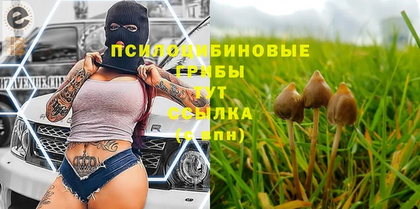 2c-b Алексеевка