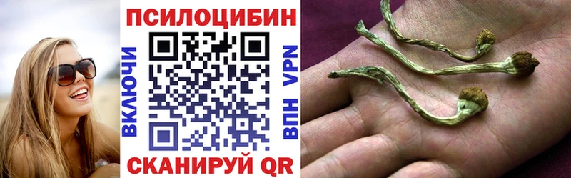 маркетплейс состав Самара Галлюциногенные грибы GOLDEN TEACHER